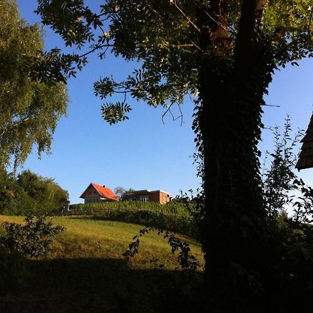 Ferienhaeuser Im Weingarten Fehring Экстерьер фото