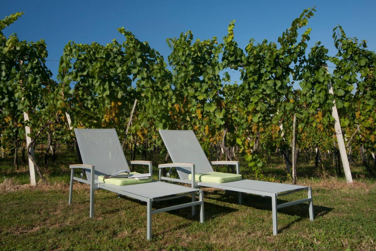 Ferienhaeuser Im Weingarten Fehring Экстерьер фото