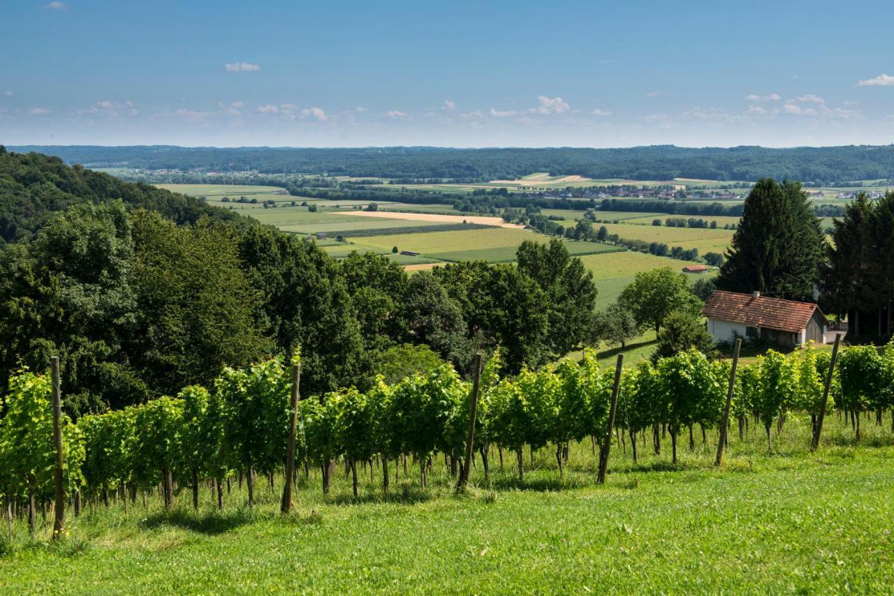 Ferienhaeuser Im Weingarten Fehring Экстерьер фото